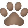 Animals Chip Icon