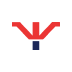 Synot Chip Icon