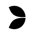 Evolution Chip Icon